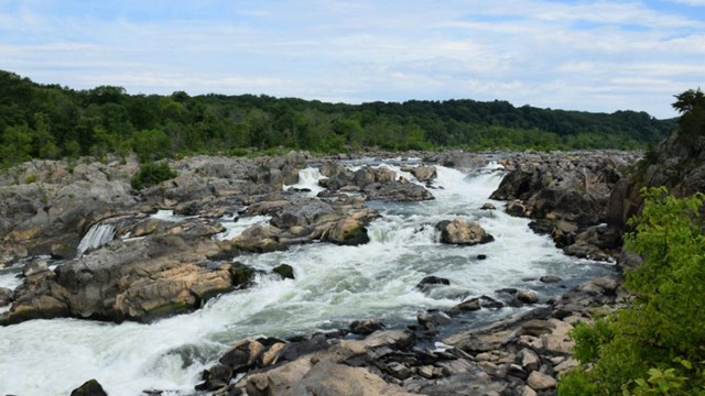 Scenic view of the Potomac Gorge at Great Falls.